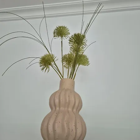 Lejlighed Centrico, Tranquilo, Buenas Vistas Ribadeo